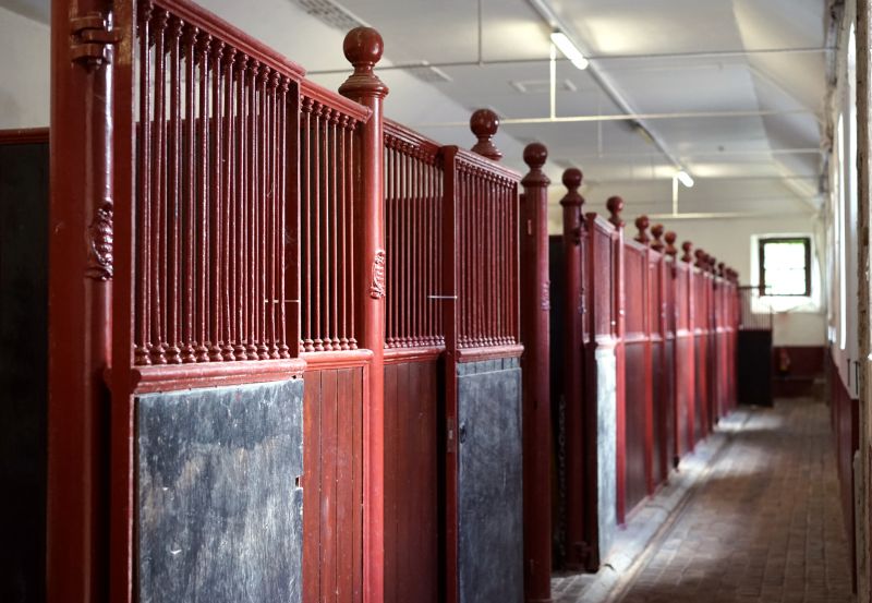 Horse Fence Repair in Spring